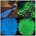Glow in the Dark Garden Pebbles Stone for Walkway Yard and Decor DIY Decorative Gravel Stones in Blue & Green (200, Blue & Green)