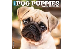 Just Pug Puppies 2025 12" x 12" Wall Calendar