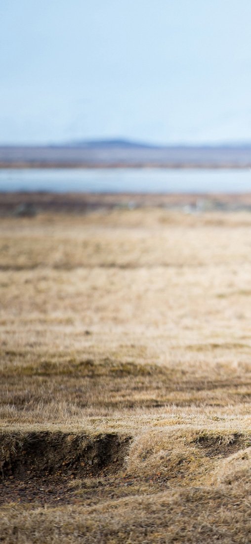 PeelitStickit Horse, Wall Murals, ID-038, vinyl