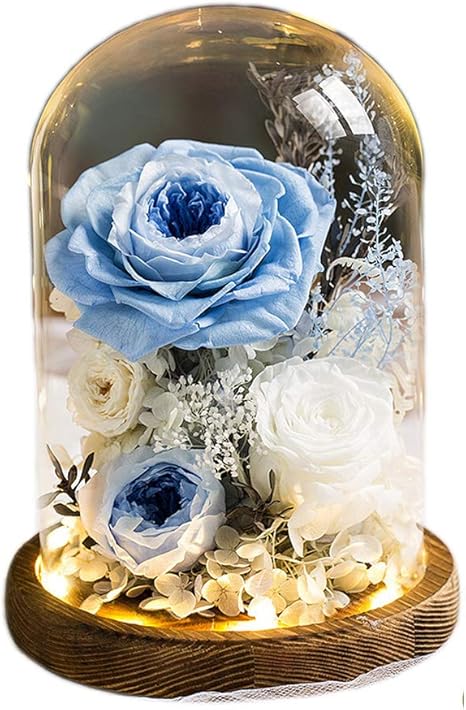 Amazon プリザーブドフラワー 枯れない花 バラ 誕生日 結婚記念日 バレンタイ プレゼント 花束 薔薇 電池式 Ledライト ホワイトデー 母の日 ローズ 結婚式 パーティー クリスマス お祝い 新年 ギフト お花 フラワー インテリア飾り お祝い お礼用 人気 女性 妻 彼女 友人