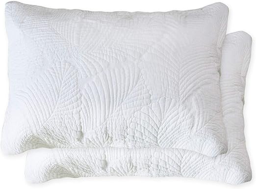 Amazon Com Brandream Quilted Pillow Shams Set Of 2 Standard Size