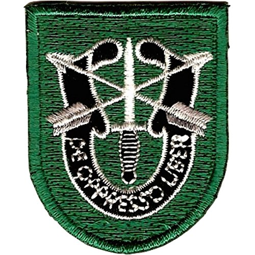 10th Special Forces Group Flash Patch With Crest Buy Online In INDIA 
