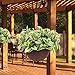 Homes Garden 10.5 in. Dia Plastic Resin Rattan Hanging Planter Brown (2-Pack) Flower Plant Hanging Basket for Home Office Garden Porch Balcony Indoor Outdoor Decoration Gift #G727A00