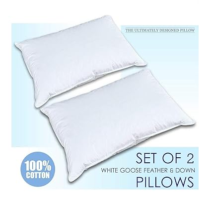 Amazon Com Destinie Creative Ls 100 Natural Goose 100 Cotton