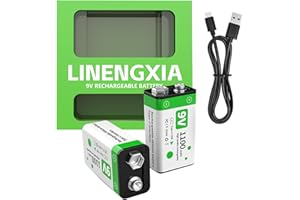 LINENGXIA 9V 1100mAh Lithium Rechargeable Batteries (2-Pack Green) with Type-C Cable | 1200 Life Cycles | Overcharge/Short-Circuit Protection | Constant Voltage for Smoke Detectors, Microphones
