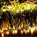 Dephen Twinkle LED Party Decorative String lights with 8 modes,22m 200 LEDs Plug-in Christmas Lights for Wedding Xmas Halloween Diwali Outdoor Indoor Decoration(Plug-in Warm White)