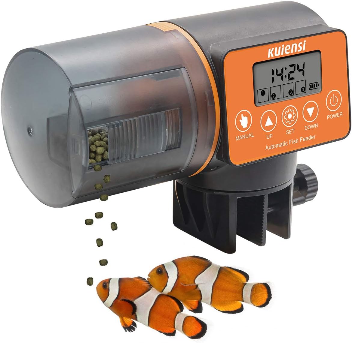 growing hay for rabbits