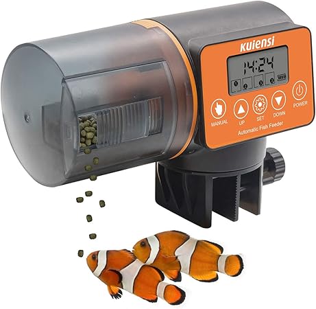 automatic fish feeder amazon