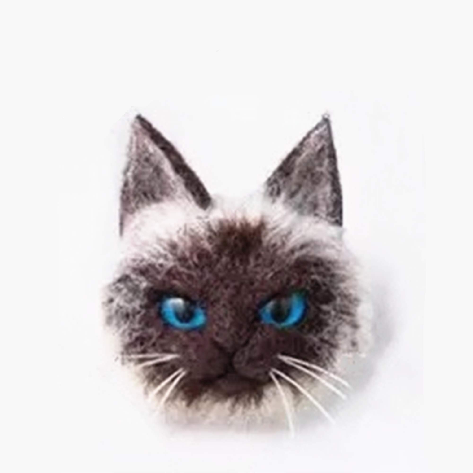 DIY Needle Felting Kit with Basic Needle Felting Tools,Kit for Beginners,Cat Kitten,Animal (Siamese)