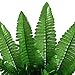 Gtidea 2pcs Artificial Silk Grass Persian Leaves Plants Bridal Home Garden Office Floor Restaurant Wedding Decor Green