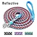 Mycicy 3ft 4ft 6ft 10ft Reflective Dog Leash, Nylon Rope Braided Heavy Duty Dog Training Leash for Large Medium Small Dogs Walking Lead