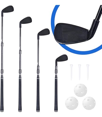 Amazon.com : Neon Executive Gift Portable Golf Putter Set Kit with