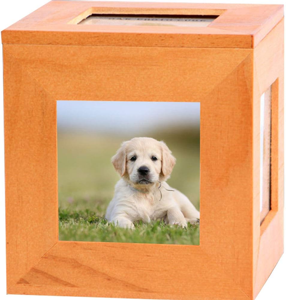 pet memorial urns