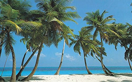 Quick Murals Bahama Breeze High Definition Wall Mural Huge 12ft 6in Wide x 9ft High Covers an Entire Wall!