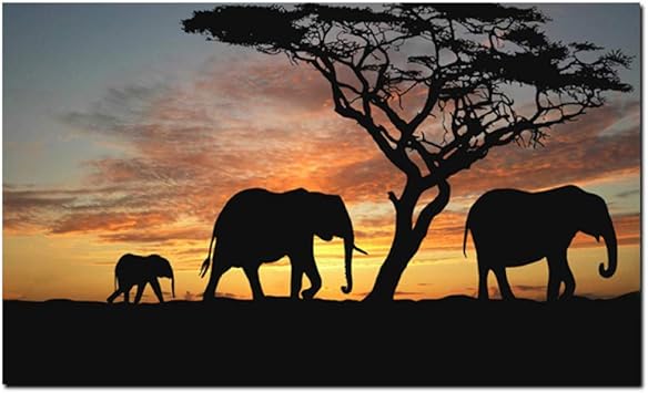 Baum afrikanischen Elefanten Sonnenuntergang Landschaft Leinwand