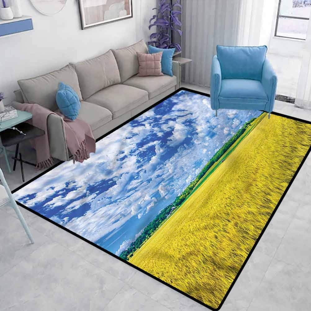 United States Home Sports Rugs Wheat Farm USA Kansas Bathroom Rugs,Christmas Rug,Nursery Rug Living Room Carpet,Indoor-Outdoor Carpet W4.5 x L5.2 Feet