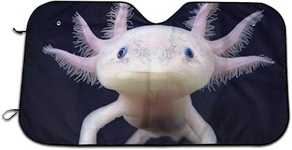 Amazon.com: ABIsedrin Cute Axolotls Foldable Car Front Window Sunshades