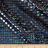 Vogue Group Iridescent Sequin Square Hologram Mesh