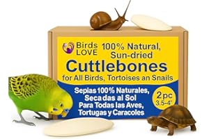 Birds LOVE Natural Cuttlebone for Birds & Reptiles – 100% Pure Sun-Dried Calcium Supplement – Supports Beak, Bone & Shell Strength – Safe Daily Use - 2 Pack with Holder, Size 3.5 to 4"