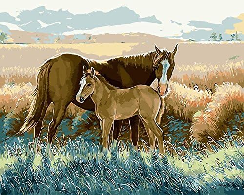 Arts Language Wooden Framed 16" x 20" Paint by Numbers Diy Painting -Prairie horses