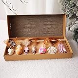 Bituddy Cat Feather Toy Set with Scratch Pad Cover-Cat Wand Toy Cat Mice Toys Feather Toys Collection in Cat Gift Box, 7 Pcs
