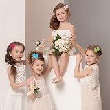 ZTMY 40Pcs Baby Hair Clips 2 in Grosgrain Ribbon Bows 20 Colors Alligator Clips view 6