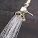 Speakman S-2254-PB Showerhead, 2.5 GPM, Polished Brass