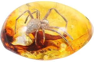 UPKOCH Resin Amber Spider Specimen Pendant 2.16X1.65X0.94 Inch Lightweight Decorative Craft for Kids Science Education Diy Ho