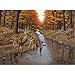 Royal & Langnickel Painting by Numbers Adult Large Art Activity Kit, Symond's Creek