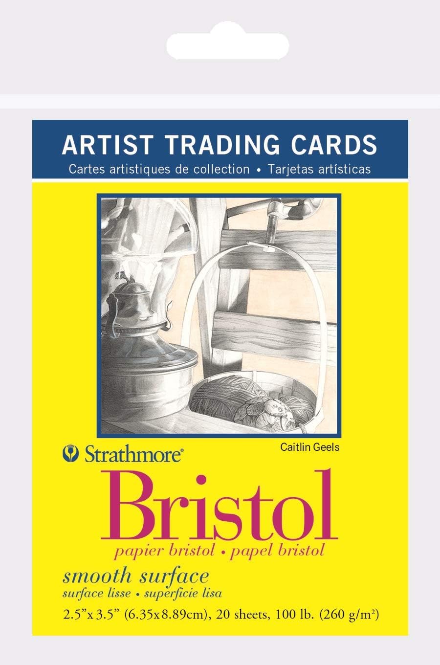 Strathmore 300 Series Bristol Artist Trading Cards, Smooth Surface, 20 Sheets: Arts, Crafts & Sewing
