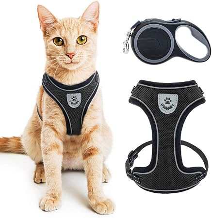 amazon cat leash