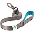 Embark Adventure Dog Leashes - Colorful, Strong and Sturdy Nylon Dog Leashes for Small Dogs, Dog Leashes Medium Dogs and Dog 