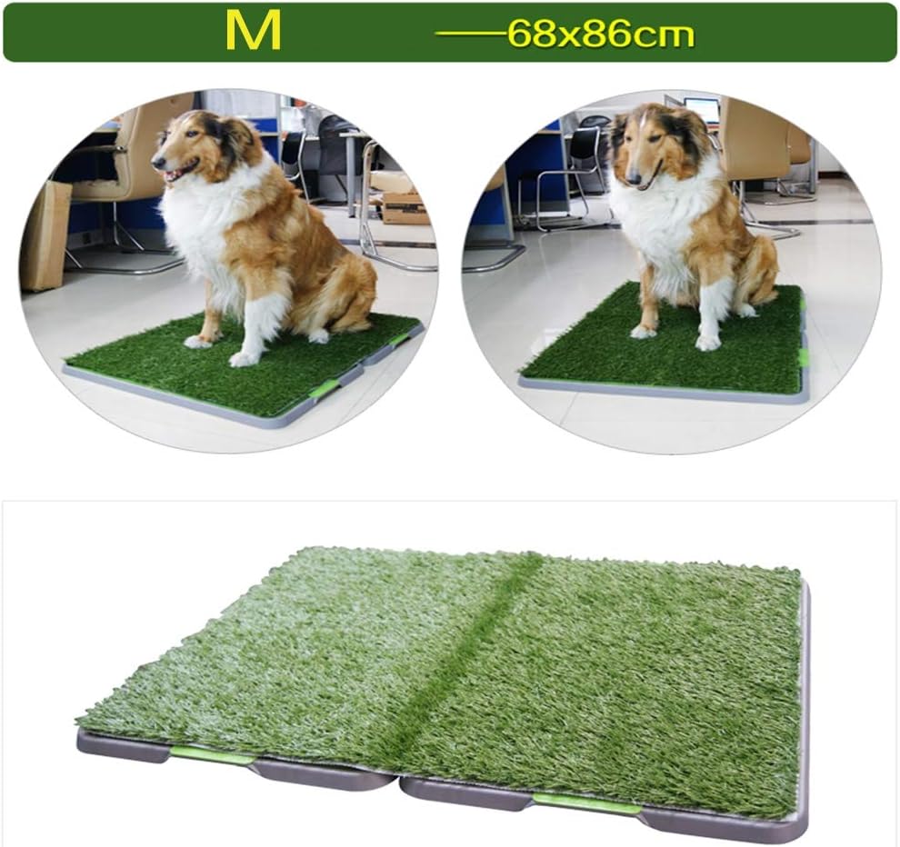 Amazon 犬のトイレペットトレーニング草マット トイレ室内 子犬のトレーニングパッド より簡単にクリーンアップするための取り外し可能な廃棄物トレイ 無毒な人工芝 M Cacoffay パッド 床保護シート 通販