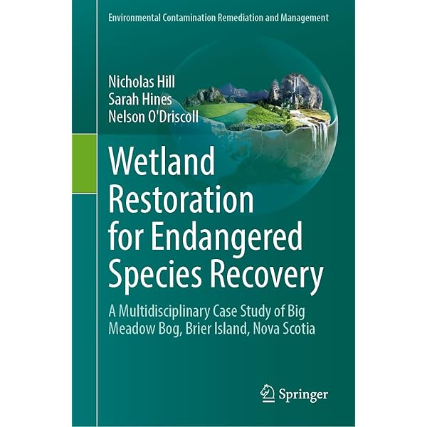 River, Coastal and Estuarine Morphodynamics: Proceedings of the