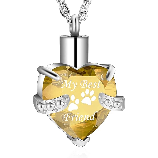 Collier Souvenir Pour Poils De Chien - Médaillon Avec Boîtier Transparent Pour Garder Un Souvenir