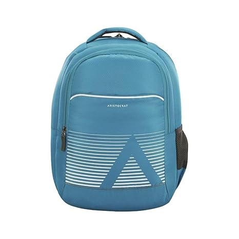 2 laptop backpack