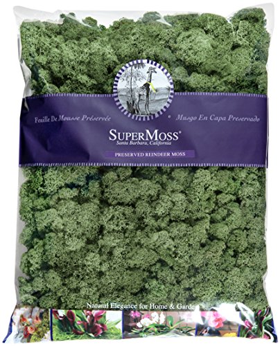 SuperMoss 23084 Reindeer Moss Preserved Bag, 32 oz, Basil