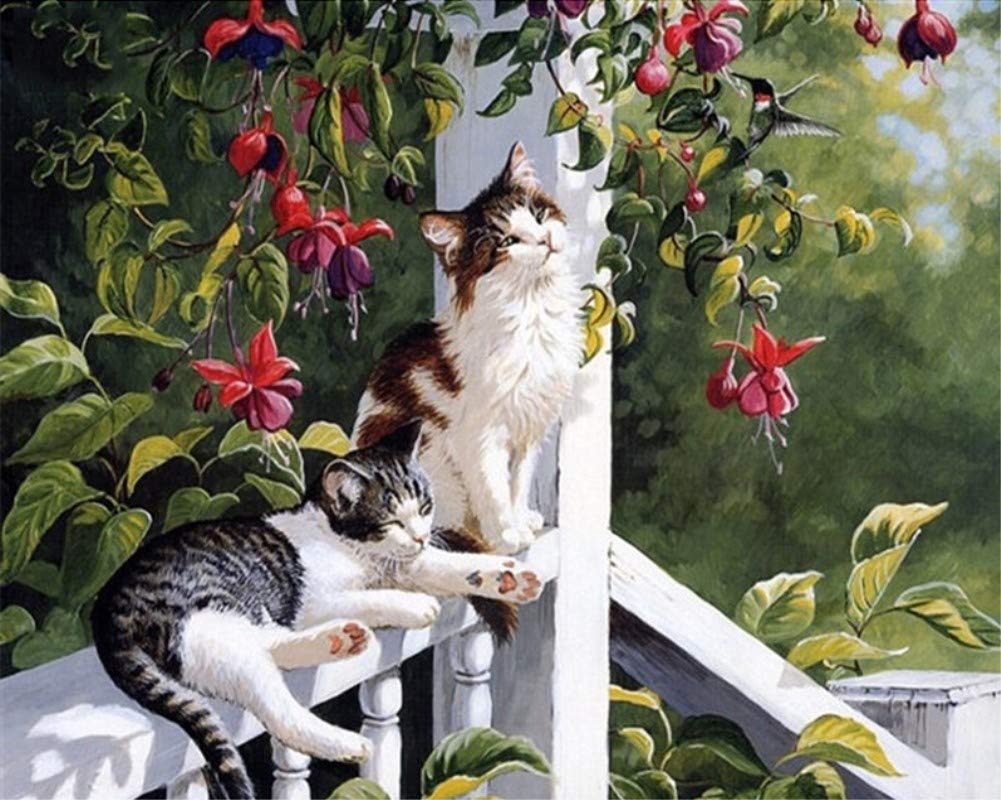ABEUTY DIY Paint by Numbers for Adults Beginner - Two Cats in The Garden 16x20 inches Number Painting