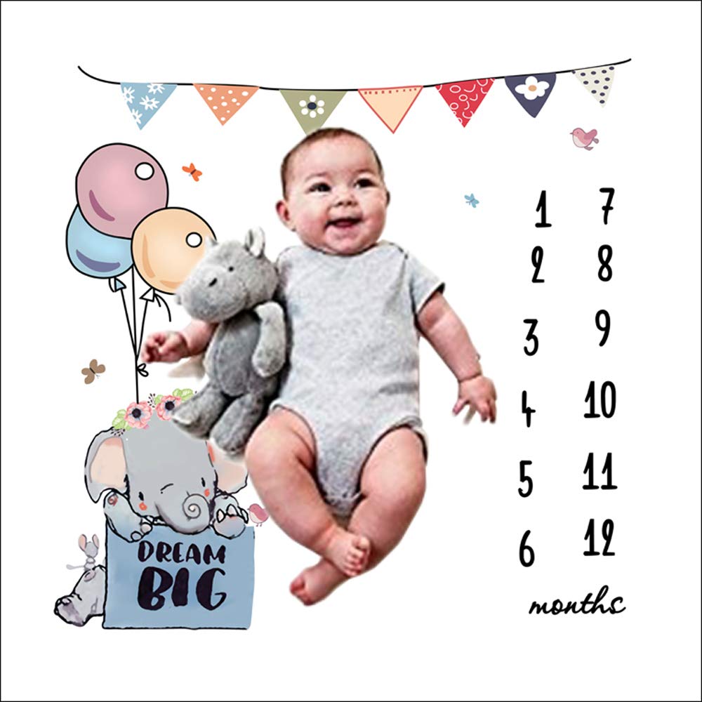 baby milestone cards big w
