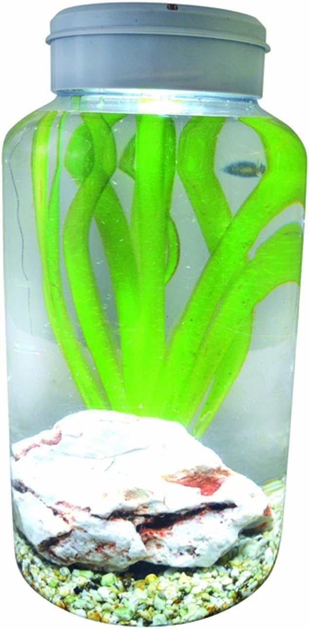 Lucky Reptile IT-5 InsectTarrium, 5 Litre, transparent - Image 5
