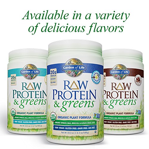 Garden of Life Greens and Protein Powder Organic Raw Protein and Greens with Probiotics