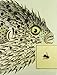 Natural Histories: Extraordinary Rare Book Selections from the American Museum of Natural History Library