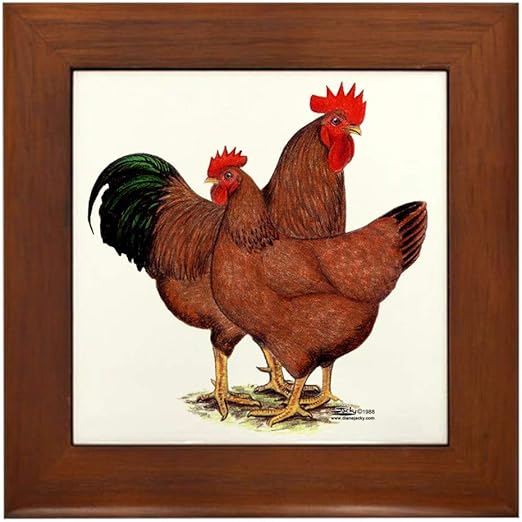 Amazon Com Cafepress Production Red Chickens Framed Tile