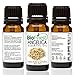 BioFinest Angelica Oil - 100% Pure Angelica Essential Oil - Boost Immune System and Strength - Premium Quality - Therapeutic Grade - Best For Aromatherapy - FREE E-Book (10ml)