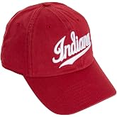 Desert Cactus Indiana University Hoosiers Embroidered Baseball Hat (B) | Officially Licensed IU Cotton Baseball Cap Brimmed Embroidered with Snapback Strap, Men Women Fan Gift Merch