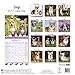 Corgi Calendar 2017 - Pembrook Welsh Corgi Calendar - Corgi Dog - Pembrook Corgi - Dog Breed Calendars - 2016 - 2017 wall calendars - Calendar by Avonside
