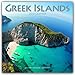 Greek Island Calendar - Greek Islands Calendar - Calendars 2017 - 2018 Wall Calendars - Photo Calendar - Greek Islands 16 Month Wall Calendar by Avonside by 