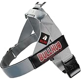 BULLHUG Adjustable Dog Harness&ndash; No Pull, No Choke &ndash; for English Bulldogs, French Bulldogs, Pugs &amp; Broad-Chested Breeds &ndash; Easy, Safe Walks (Silver, Medium)