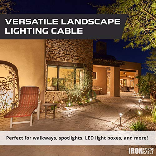 14/2 Low Voltage Landscape Wire 100ft Outdoor LowVoltage Cable for Landscape Lighting, Black