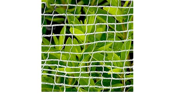 Ruber Red Protectora para árboles frutales, Malla para pájaros ...